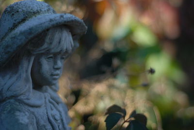 Close-up of statue against blurred background