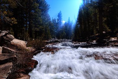 Scenic view of waterfall in forest against sky