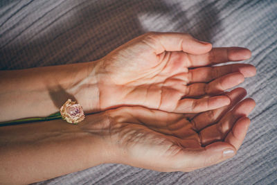 Close-up of hand holding flower