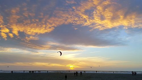 Silhouette of birds flying over clouds