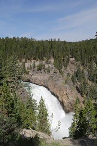 Scenic view of river amidst trees against sky