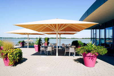 Potted plants on table at beach against clear sky
