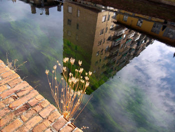 Reflection of buildings in water