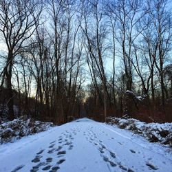 Road passing through snow covered landscape