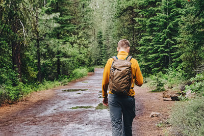 Man with a backpack walking on the trail through the forest with pine trees after the rain. 