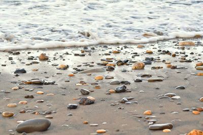 Scenic view of beach