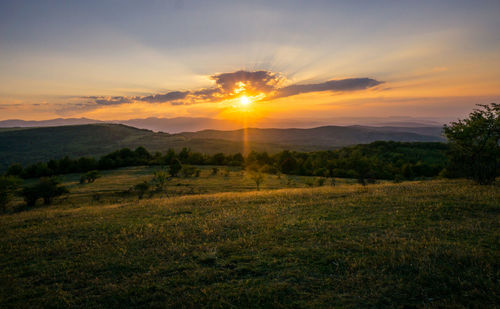 Scenic view of field against sky during sunset