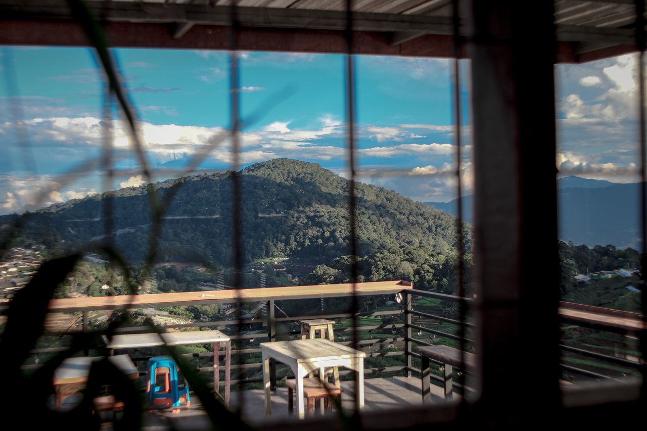 VIEW OF TREES SEEN THROUGH WINDOW