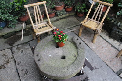 High angle view of potted plants