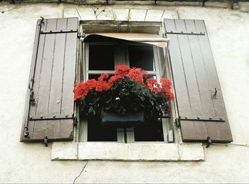 Close-up of house window