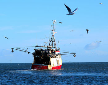 Seagulls flying by boat at sea against sky