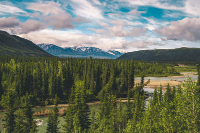 Denali national park, alsaka, nature, landscape, wilderness