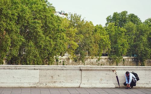 People by trees against plants