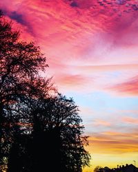 Low angle view of silhouette tree against sky during sunset
