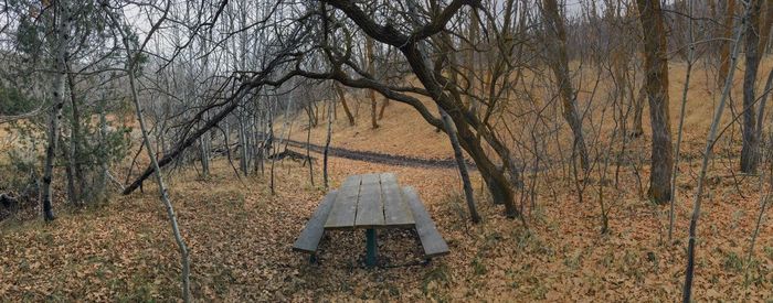 Lone wooden picnic table in late fall  yellow fork rose canyon oquirrh mountains utah