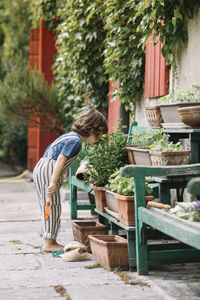 Boy examining potted plant while standing at backyard