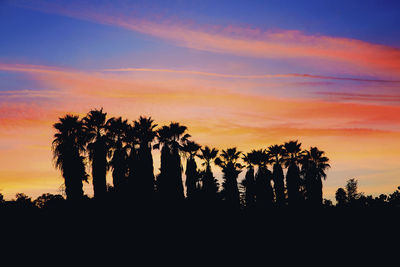 Silhouette trees against sky during sunset