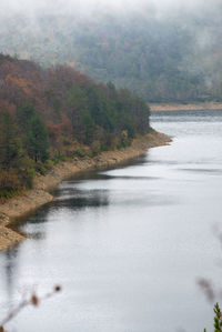 Scenic view of river in forest against sky