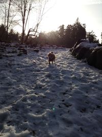 Dog in water against sky