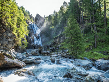 Scenic view of waterfall in forest