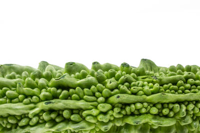 Close-up of green fruits against white background