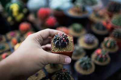 Midsection of person holding strawberry