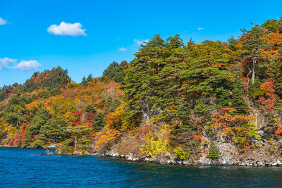 Autumn trees by lake against sky