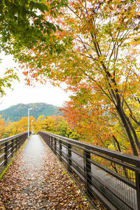 Footbridge amidst trees during autumn