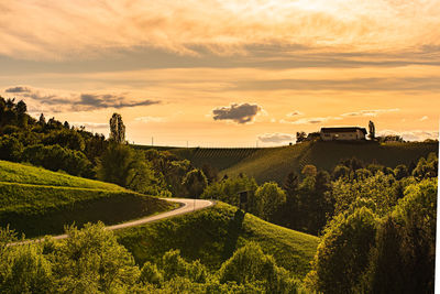 Scenic view of agricultural field against sky during sunset