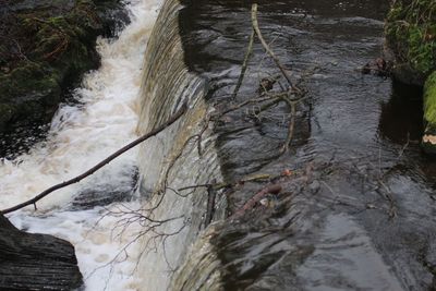 Close-up of waterfall in forest