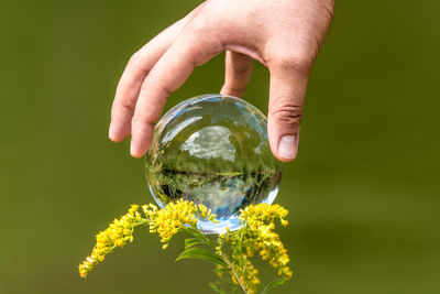 A man's hand reaches for a glass globe with a mirrored lake, trees and sky 