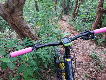 Bicycle parked on tree trunk in forest