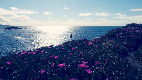 Scenic view of sea against sky