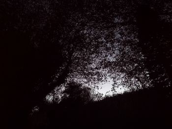 Close-up of illuminated night