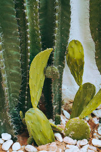 Full frame shot of water