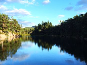 Reflection of trees in calm lake