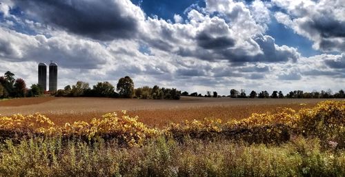 Scenic view of field against sky