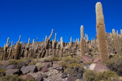 Panoramic view of rock formations against clear blue sky