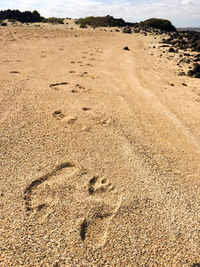 High angle view of footprints on sand at beach