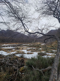 Scenic view of lake against sky during winter