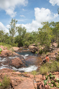 Scenic view of river amidst trees against sky