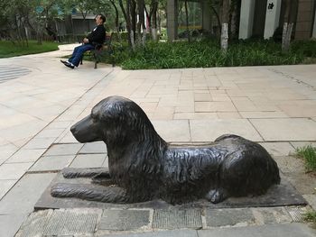 Man with dog sitting on floor