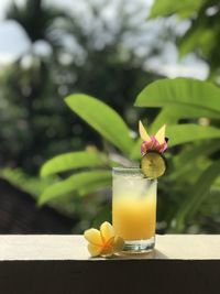 Close-up of drink on table