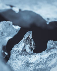 Close-up of ice crystals