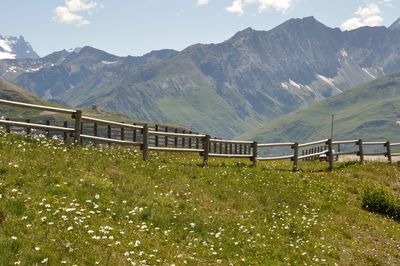 Fence in the pastures in valloire