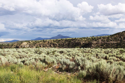 Countryside landscape against cloudy sky