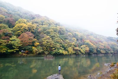 Reflection of trees in lake