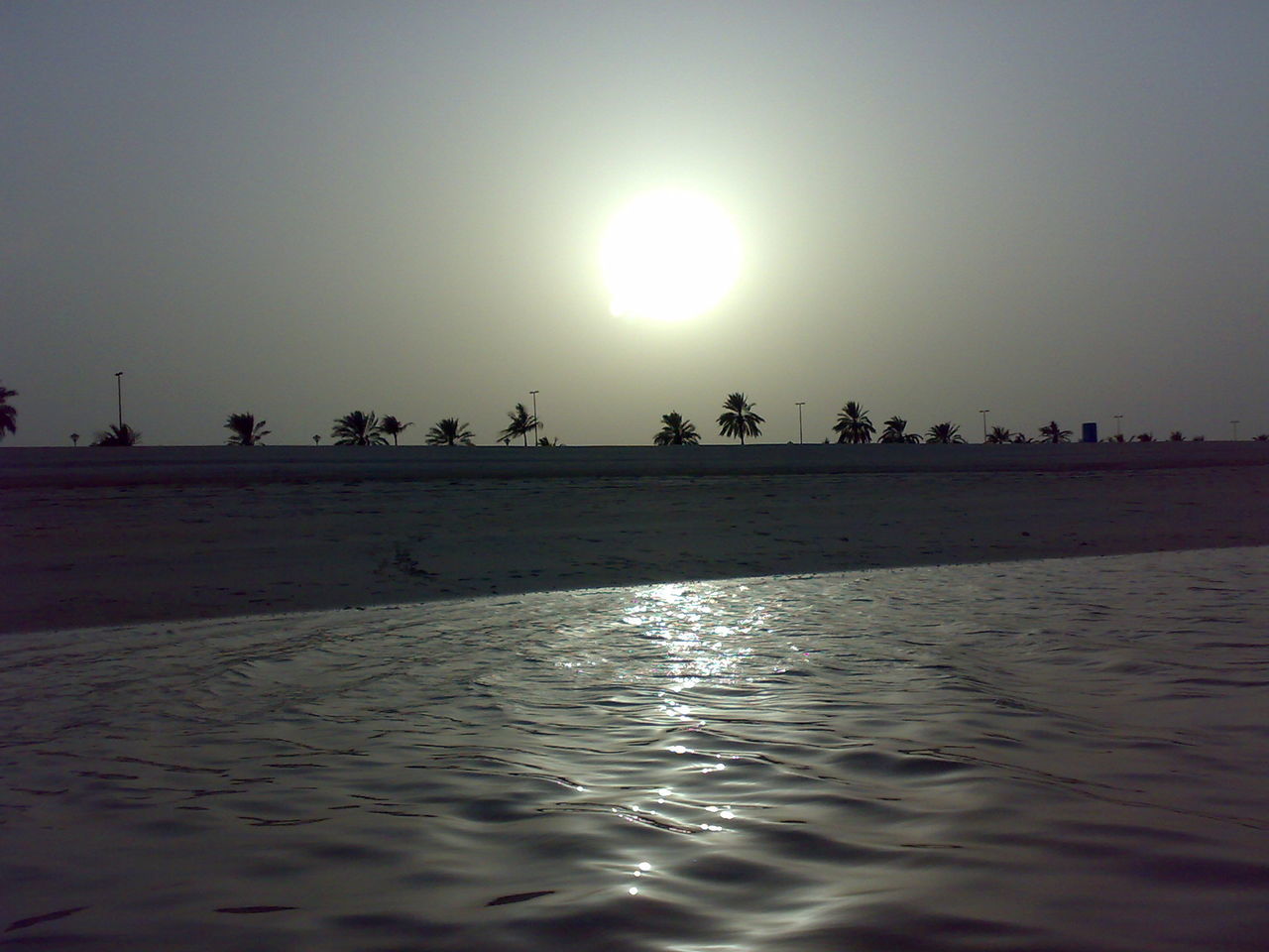 water, beach, sea, silhouette, clear sky, sun, large group of people, shore, nature, tranquil scene, scenics, beauty in nature, sunset, sky, sand, sunlight, tranquility, animal themes