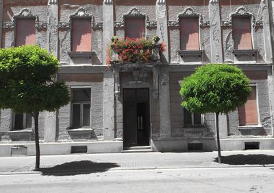 Flower plants against built structure