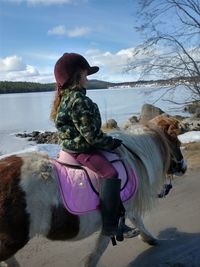 Dog on shore against sky